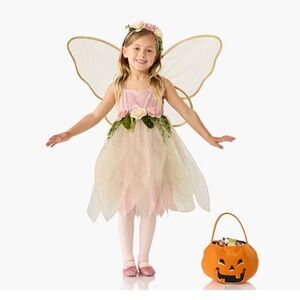 Pottery Barn Kids Light-up Garden Fairy Costume